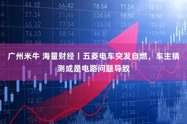 广州米牛 海量财经丨五菱电车突发自燃，车主猜测或是电路问题导致
