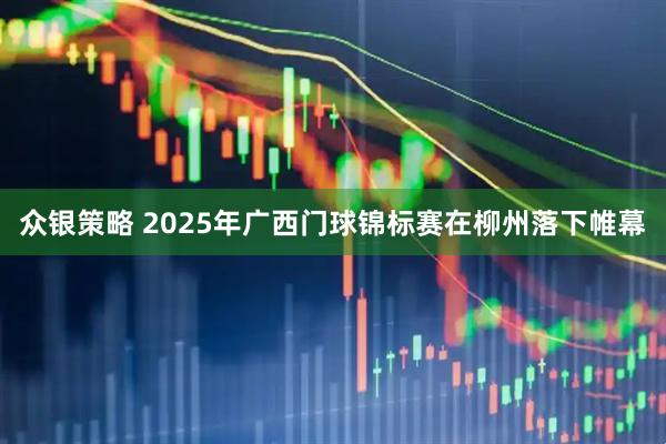 众银策略 2025年广西门球锦标赛在柳州落下帷幕