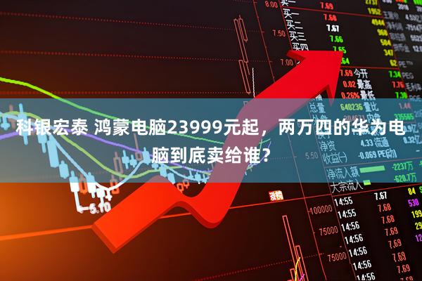 科银宏泰 鸿蒙电脑23999元起，两万四的华为电脑到底卖给谁？