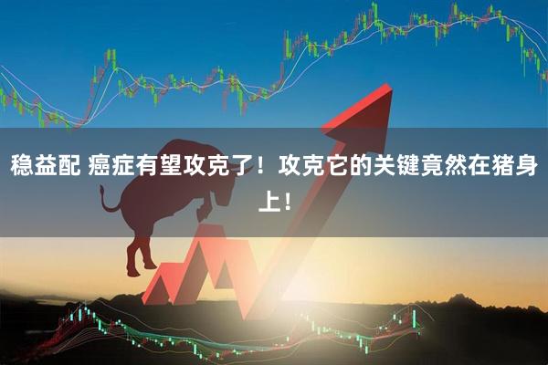 稳益配 癌症有望攻克了！攻克它的关键竟然在猪身上！