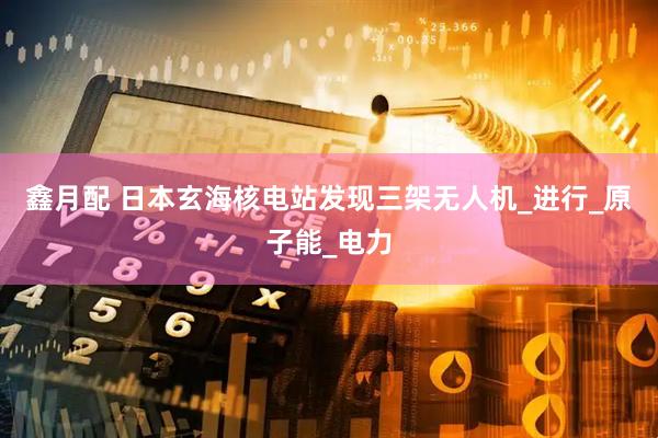 鑫月配 日本玄海核电站发现三架无人机_进行_原子能_电力