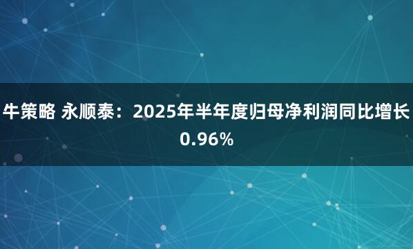 牛策略 永顺泰：2025年半年度归母净利润同比增长0.96%