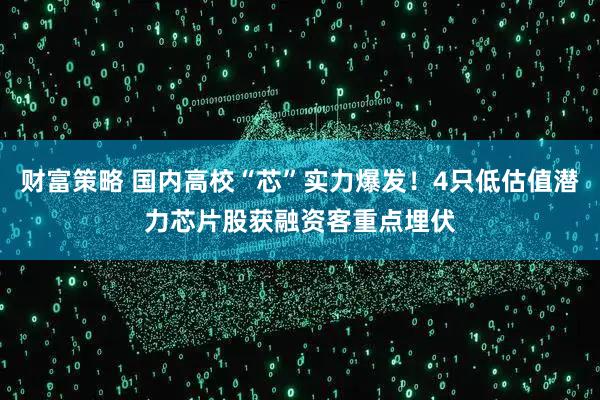 财富策略 国内高校“芯”实力爆发！4只低估值潜力芯片股获融资客重点埋伏