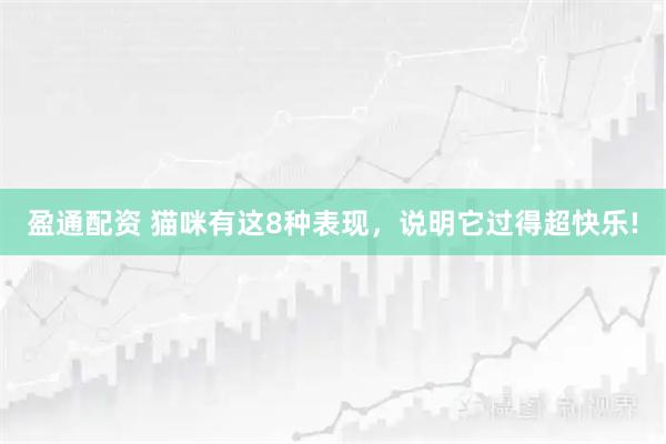 盈通配资 猫咪有这8种表现，说明它过得超快乐!