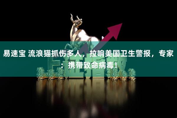 易速宝 流浪猫抓伤多人,拉响美国卫生警报,专家:携带致命病毒!