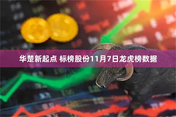 华楚新起点 标榜股份11月7日龙虎榜数据