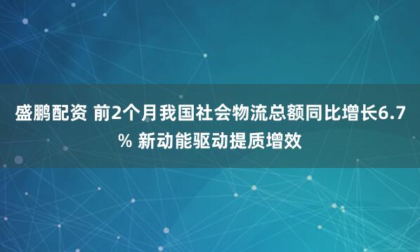 盛鹏配资 前2个月我国社会物流总额同比增长6.7% 新动能驱动提质增效